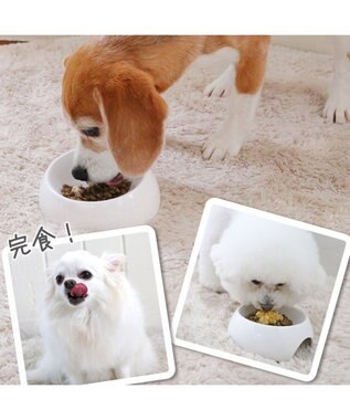 PET PARADISE リアルフード パウチスープ バラエティパック 《砂肝＆パンプキン/ レバー＆キャロット/ チキン＆ブロッコリー》 国産 バラエティパック