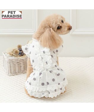 PET PARADISE ペットパラダイス 背中開き フリル ワンピース 《ドット柄》 小型犬