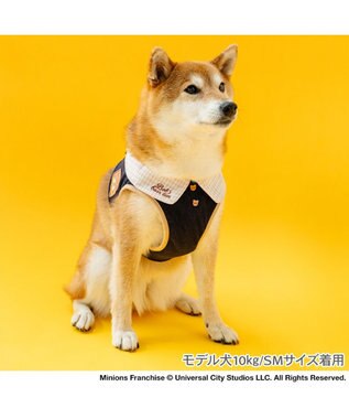 PET PARADISE ミニオン チェック ベスト ハーネス ＳＭ 中型犬 ネイビー