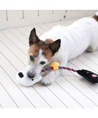 PET PARADISE リサとガスパール お友達 ロープ トイ 0