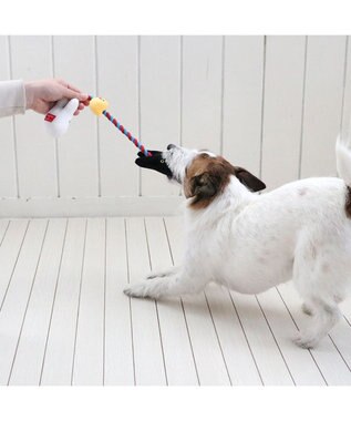 PET PARADISE リサとガスパール お友達 ロープ トイ 0