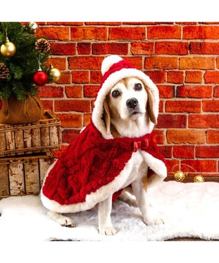 PET PARADISE ペットパラダイス サンタ ポンチョ 2025 中型犬 大型犬 レッド