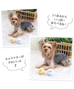 PET PARADISE スヌーピー テニス ボール トイ  犬おもちゃ 2色セット