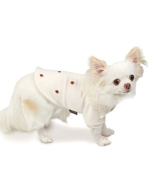 PET PARADISE ペットパラダイス ペティヒートDAN Tシャツ 《いちご柄》 小型犬 オフホワイト