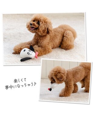 PET PARADISE スヌーピー デンタルトイ 《ベル》 ホワイト