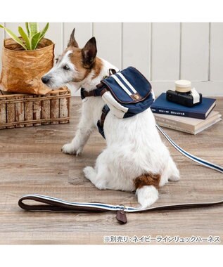 PET PARADISE ペットパラダイス ネイビー ライン入り リード ４Ｓ～３Ｓ 小型犬 ホワイト×ネイビー
