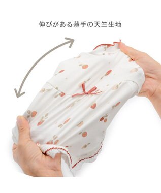 PET PARADISE ペットパラダイス ペティヒート天竺 Tシャツ 《いちご》 中型犬 大型犬 ホワイト