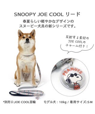 PET PARADISE 犬  スヌーピージョークール 反射 お揃いリード 【SM】 青