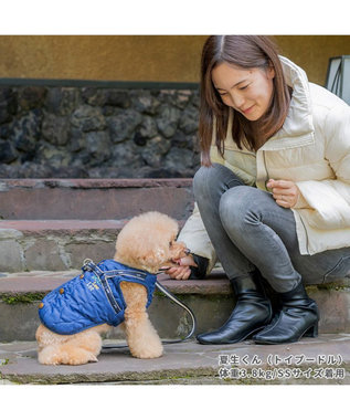 PET PARADISE Lee アウター ハーネス ベスト 小型犬 紺(ネイビー・インディゴ)