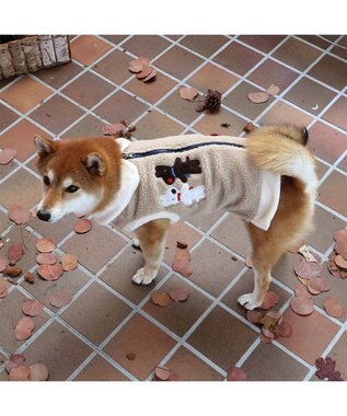 PET PARADISE リサとガスパール 背開き ベスト 《ベージュ》 中型犬 ベージュ