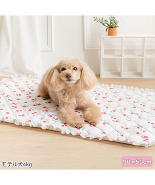 PET PARADISE ペットパラダイス クールマット 《苺花柄》 Ｍ ホワイト×レッド