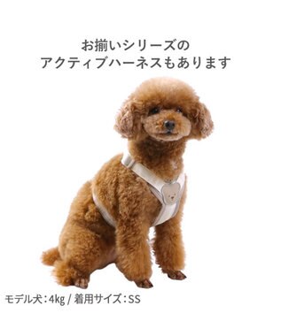 PET PARADISE ペットパラダイス くまちゃん ショルダーリード ３Ｓ～Ｓ 小型犬 ベージュ
