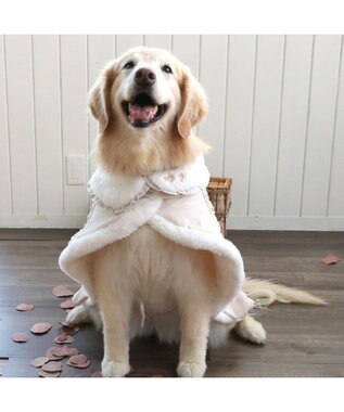 PET PARADISE ペットパラダイス フリルポンチョ 《ホワイト》  中型犬 大型犬 ホワイト