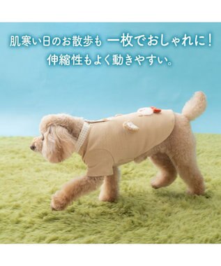 PET PARADISE ペットパラダイス  くまちゃん プレミアム ペティヒート お顔 Tシャツ 小型犬 ブラウン