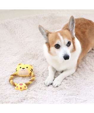 PET PARADISE 犬 おもちゃ トラ ロープおもちゃ  トイ ＴＯＹ 虎 とら お正月 年賀状 干支 音が鳴る ぬいぐるみ ボール ロープ オモチャ 玩具 小型犬 おもちゃ 猫 かわいい おもしろ インスタ映え 黄