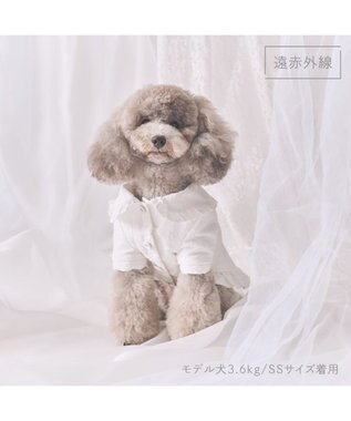 PET PARADISE cherircouture ジャガードコート 小型犬 ホワイト