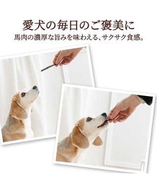 PET PARADISE 馬肉 細切り 100g・国産 大袋 -