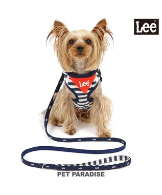 犬用ハーネス・リード付き・S 楽天市場】【レビュー特典 】ハーネス リード付き 犬ハーネス