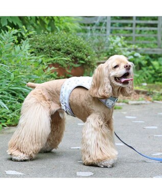 PET PARADISE ディズニー 101匹わんちゃん 保冷剤ポケット付き ハーネス ＳＭ 中型犬 保冷剤付