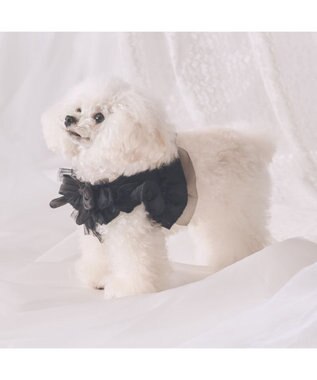 PET PARADISE cherircouture フリフリハーネス 《ブラック》 小型犬 Ｓ ブラック