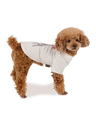 PET PARADISE ペットパラダイス Mai Kuraki　LOVE  ペットTシャツ 《ホワイト》 小型犬 ホワイト