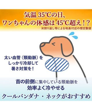 PET PARADISE J.PRESS クールバンダナ 《ストライプ柄》 小型犬 ライトブルー