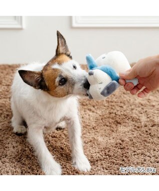 PET PARADISE スヌーピー 雪だるまトイ 青マフラー ホワイト