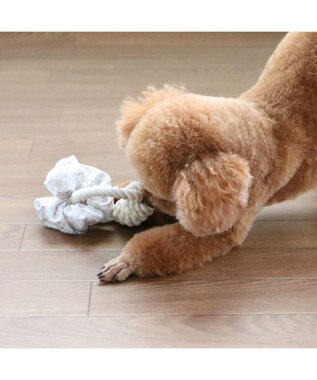 PET PARADISE ペットパラダイス 引っ張り シュシュ トイ  《 花柄 / ドット柄 》 花柄