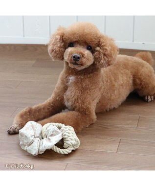 PET PARADISE ペットパラダイス 引っ張り シュシュ トイ  《 花柄 / ドット柄 》 花柄