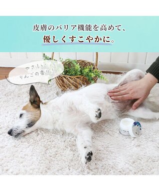 PET PARADISE ミネラルミューズ パウ&スキンケアクリーム 50mL 青