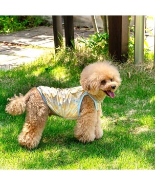 PET PARADISE ペットパラダイス タッチワンクールプラス キャミソール 《あひる》 小型犬 ライトイエロー