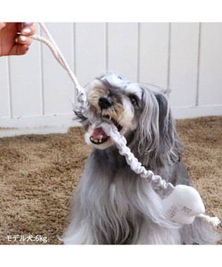 PET PARADISE ペットパラダイス 引っ張り トイ 《雲/星》 雲