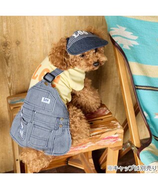 PET PARADISE Lee ワンショルダー スカートつなぎ 《ヒッコリー》 小型犬 イエロー