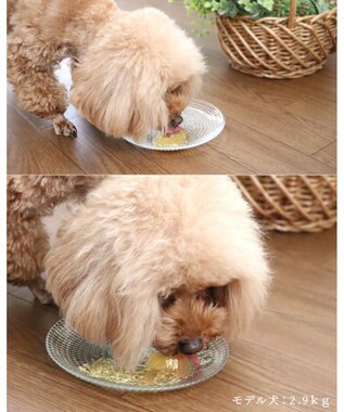 PET PARADISE りんごゼリー 8個入り 0