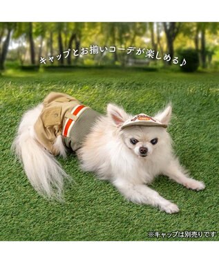 PET PARADISE ペットパラダイス マナーパンツ 小型犬 ベージュ