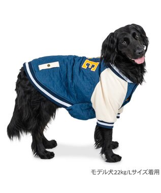 PET PARADISE Lee キルト スタジャン 中型犬 大型犬 ブルー