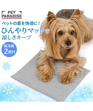 PET PARADISE ペットパラダイス  コンパクトクーラー グレー 2026