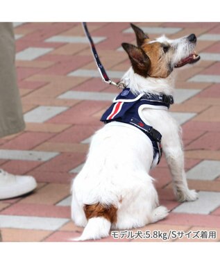 J.PRESS ポケット付きハーネス 3S 小型犬 / PET PARADISE