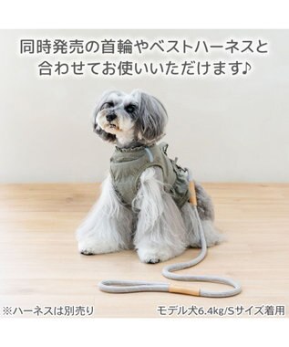 PET PARADISE ペットパラダイス ロープ リード グレー　４Ｓ～３Ｓ グレー