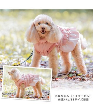 PET PARADISE ペットパラダイス アウター ハーネス ベスト 《フリル》 小型犬 フリル