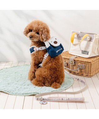 PET PARADISE リサとガスパール ラインリード ４Ｓ～３Ｓ ベージュ