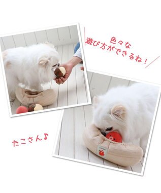 PET PARADISE ペットパラダイス たこやき ボールトイ ベージュ