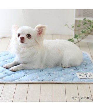 PET PARADISE ペットパラダイス クール マット 《マリン柄》 48×40cm マリン柄
