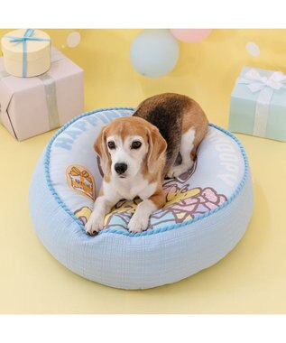 PET PARADISE スヌーピー  プレゼント クッション 接触冷感 ライトブルー
