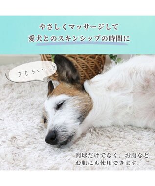 PET PARADISE ミネラルミューズ パウ＆スキンケアクリーム 50mL 青