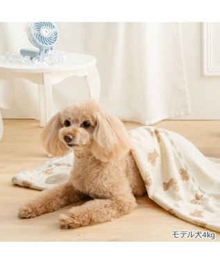 PET PARADISE ペットパラダイス くまちゃん クール ブランケット 《アイス柄》 ベージュ