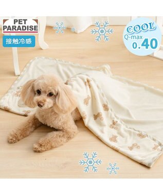 ペットパラダイス くまちゃん クール ブランケット 《アイス柄》