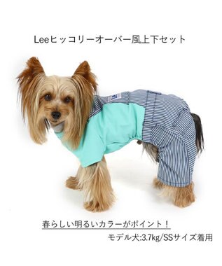 Lee ストライプデニム犬服 2着セット　サイズS 犬の服 犬 服 秋冬 Lee パンツ つなぎ 【小型犬】 ヒッコリー