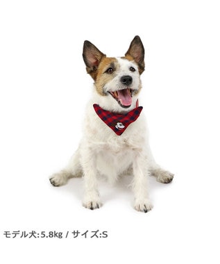 ディズニー ミッキーマウス プルート 散歩柄首輪【ＳＳ】 小型犬, 赤, ＳＳ