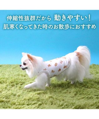 PET PARADISE ペットパラダイス くまちゃん ペティヒート 天竺  タンクトップ 《赤リボン》 超小型犬 小型犬 ホワイト